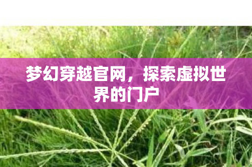 探索虚拟世界的门户图片