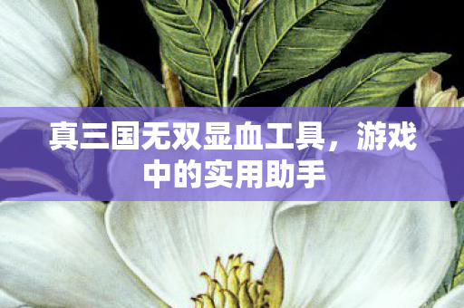 真三国无双显血工具图片