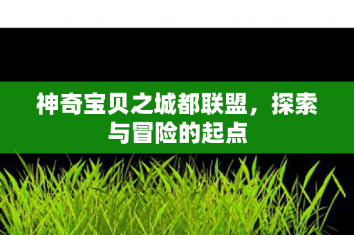 神奇宝贝之城都联盟图片