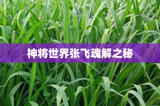神将世界张飞魂解之秘图片