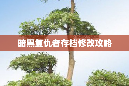 暗黑复仇者存档修改攻略图片