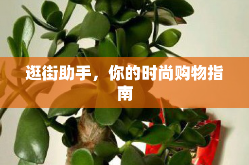 你的时尚购物指南图片
