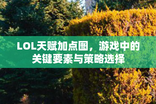 游戏中的关键要素与策略选择图片