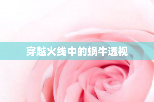 穿越火线中的蜗牛透视图片