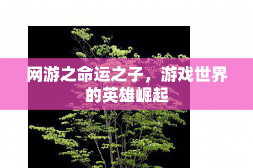 游戏世界的英雄崛起图片