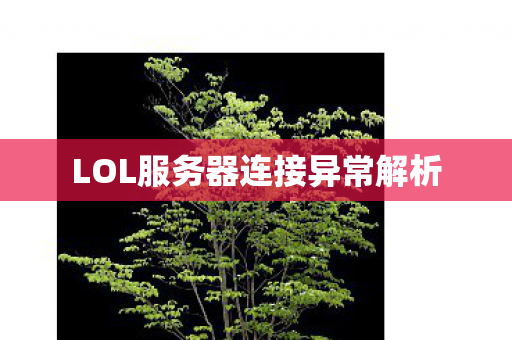 LOL服务器连接异常解析图片