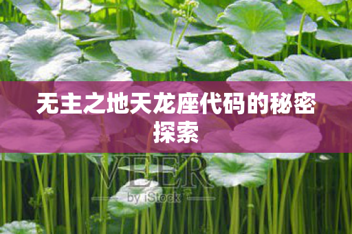 无主之地天龙座代码的秘密探索图片