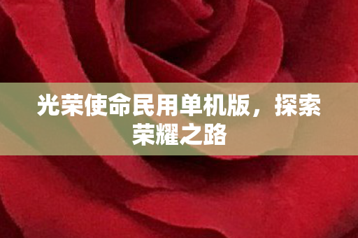 光荣使命民用单机版图片