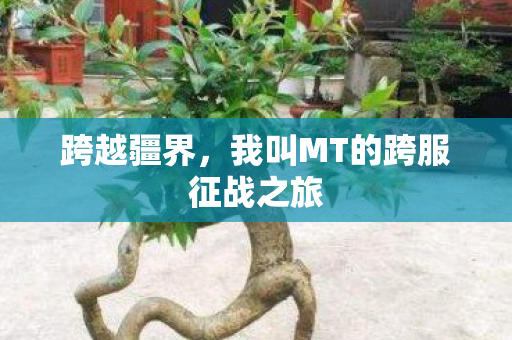 我叫MT的跨服征战之旅图片