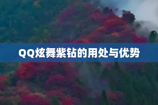 QQ炫舞紫钻的用处与优势图片