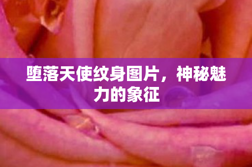 堕落天使纹身图片图片