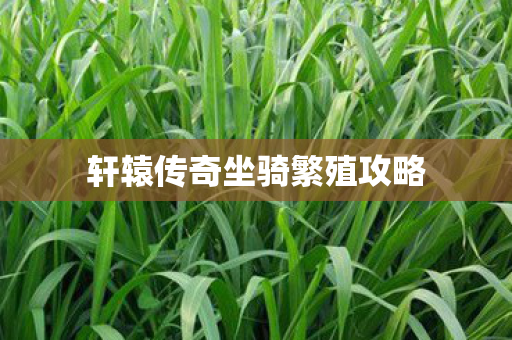 轩辕传奇坐骑繁殖攻略图片