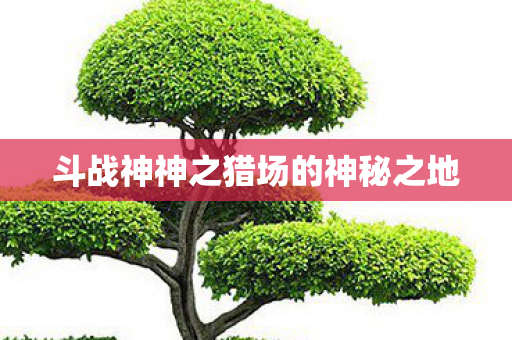 斗战神神之猎场的神秘之地图片
