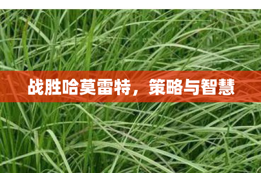 战胜哈莫雷特图片