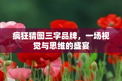 一场视觉与思维的盛宴图片