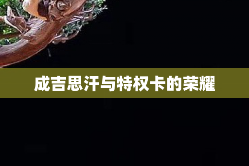 成吉思汗与特权卡的荣耀图片
