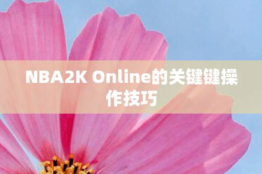 NBA2K Online的关键键操作技巧图片