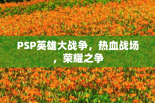 PSP英雄大战争图片