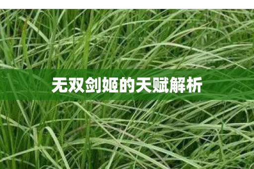 无双剑姬的天赋解析图片