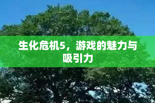 游戏的魅力与吸引力图片