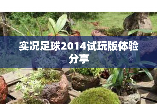实况足球2014试玩版体验分享图片