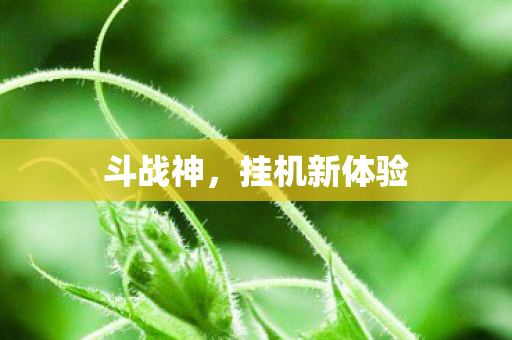 挂机新体验图片