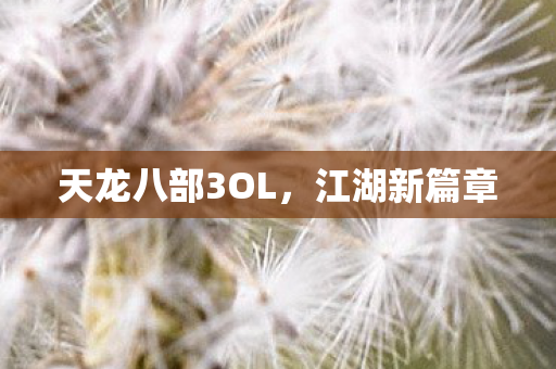 天龙八部3OL图片