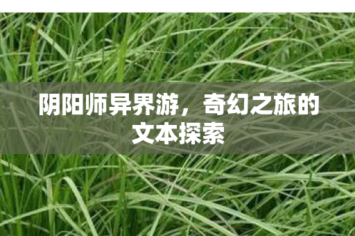 奇幻之旅的文本探索图片