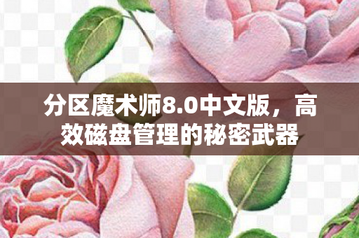 高效磁盘管理的秘密武器图片