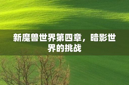 新魔兽世界第四章图片