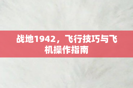 飞行技巧与飞机操作指南图片