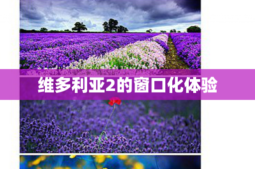 维多利亚2的窗口化体验图片
