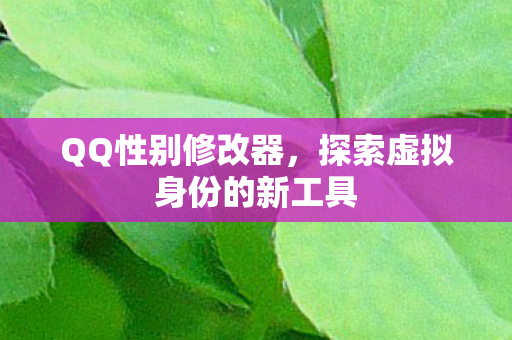 探索虚拟身份的新工具图片