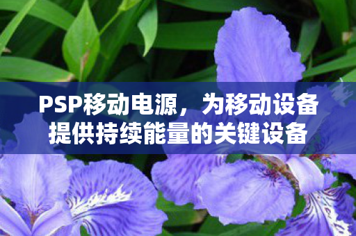 为移动设备提供持续能量的关键设备图片