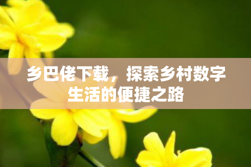 探索乡村数字生活的便捷之路图片