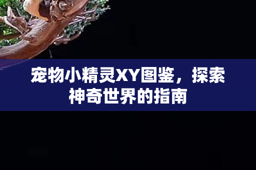 宠物小精灵XY图鉴图片