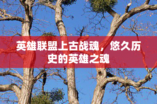 悠久历史的英雄之魂图片