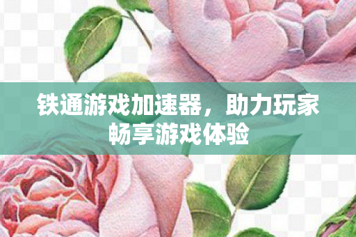 助力玩家畅享游戏体验图片