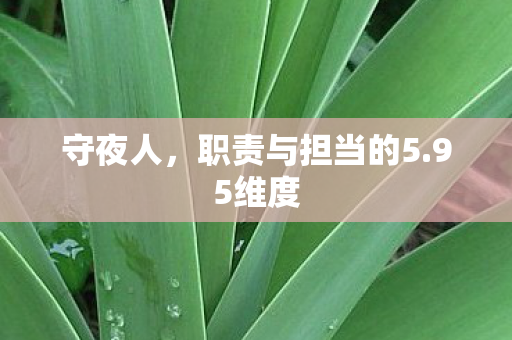 职责与担当的5图片