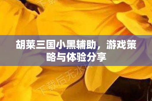 游戏策略与体验分享图片