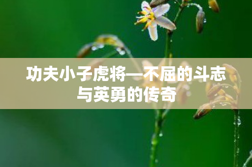 不屈的斗志与英勇的传奇图片