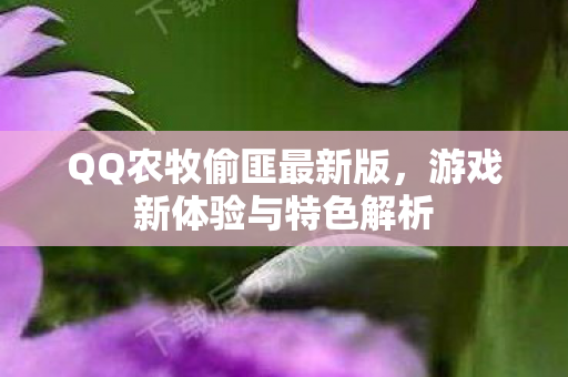 游戏新体验与特色解析图片