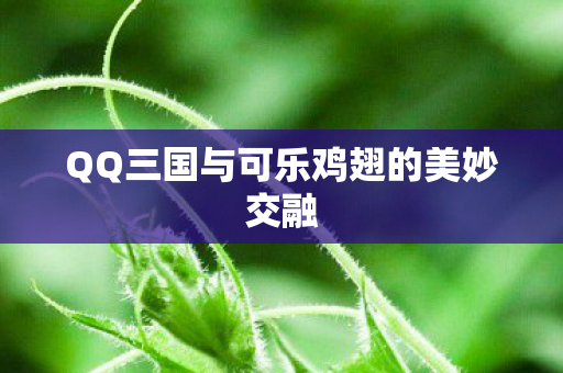 QQ三国与可乐鸡翅的美妙交融图片