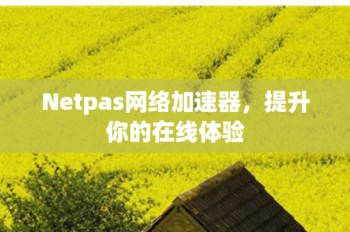 Netpas网络加速器图片