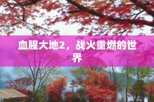 战火重燃的世界图片