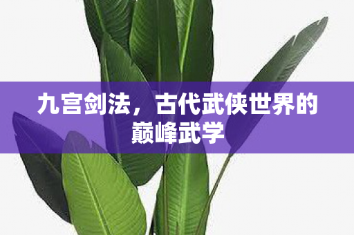 古代武侠世界的巅峰武学图片