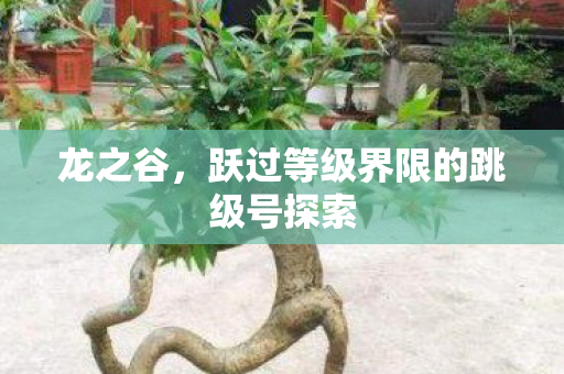 跃过等级界限的跳级号探索图片