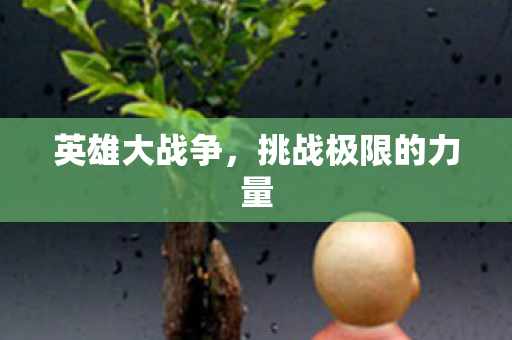 挑战极限的力量图片