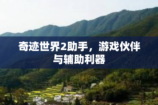 游戏伙伴与辅助利器图片
