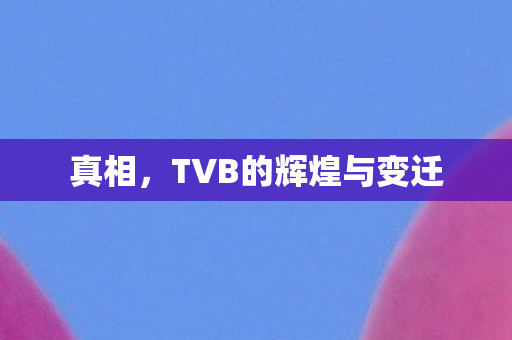 TVB的辉煌与变迁图片